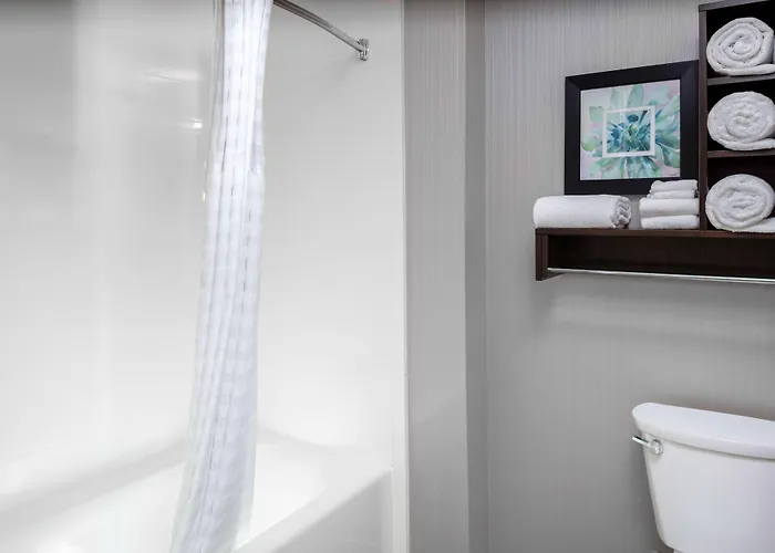 Homewood By Hilton Airport South Hotel 3*